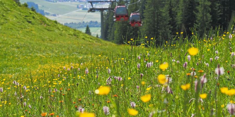 Leysin Cable Car